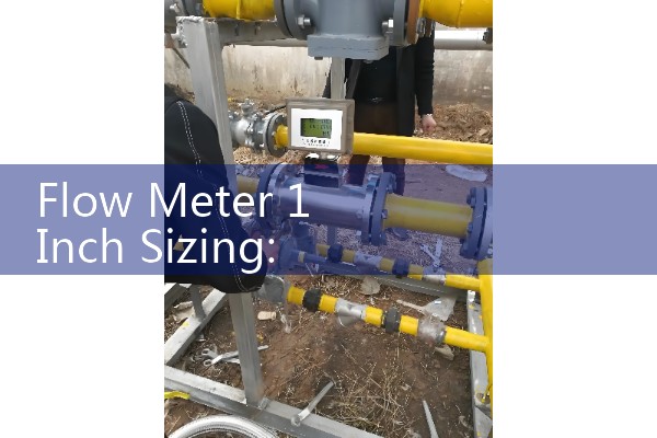 Flow Meter 1 Inch Sizing: Finding the Best Dealer for Turbine and Magmeter for General Utilities