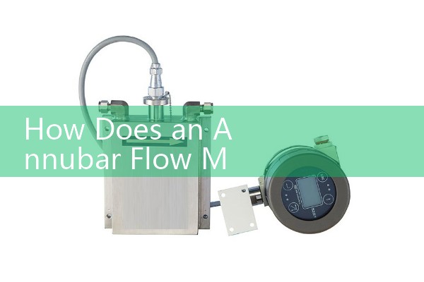 How Does an Annubar Flow Meter Work: Uses an averaging pitot tube probe to sample structural upstream and downstream differential system pressures.