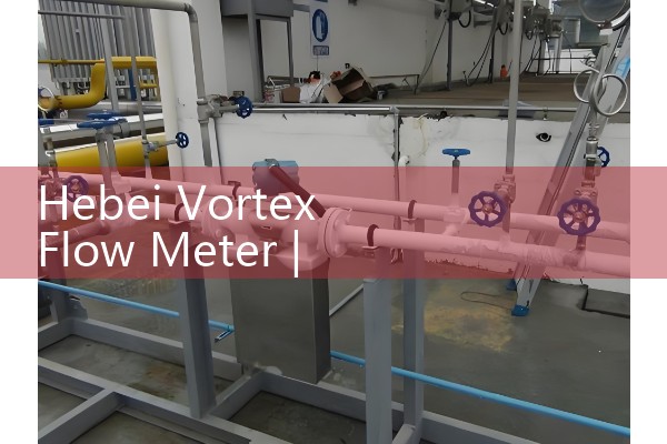 Hebei Vortex Flow Meter
