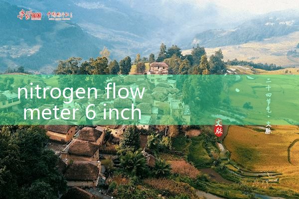 nitrogen flow meter 6 inch|clamp on meter