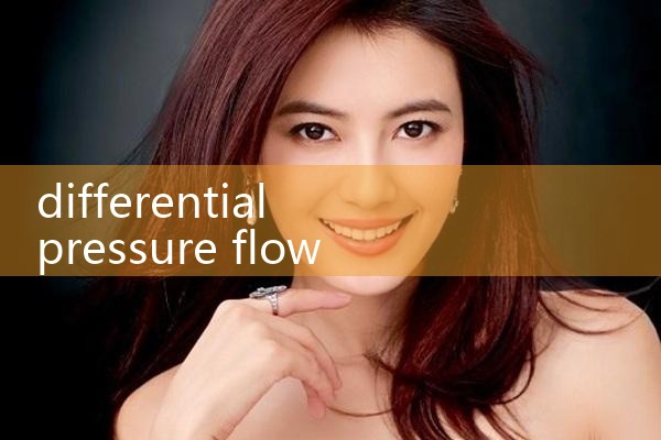 differential pressure flow meter CO2|clamp on meter