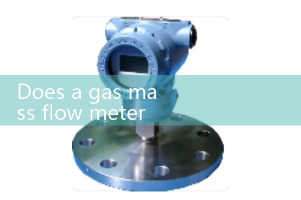 Mass flow meter for measuring gas