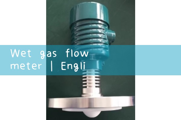 wet gas flow meter|magnetic flow meter