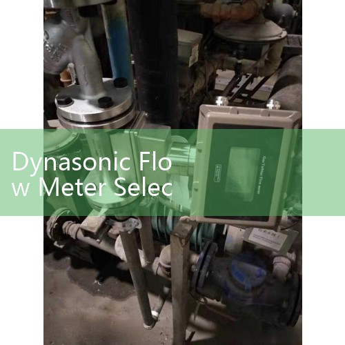 Dynasonic Flow Meter Selection Guide: How to Choose the Right Model?