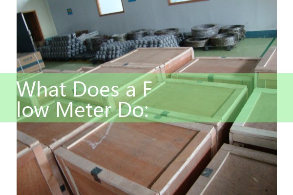 What Does a Flow Meter Do: Fundamental Principles of Liquid and Gas Tracking