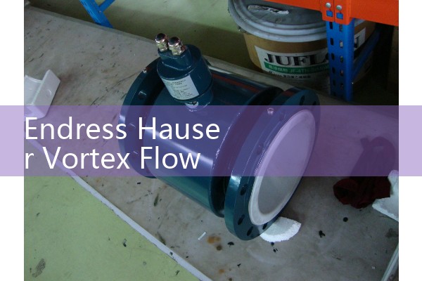 Endress Hauser Vortex Flow Meter Prowirl Series: Multivariable Steam and Gas Measurement