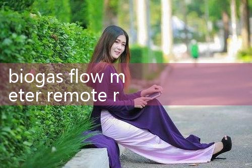 biogas flow meter remote reading|clamp on meter