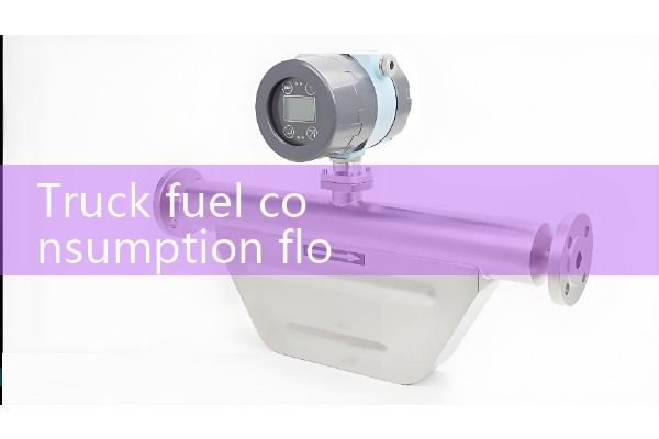 Truck fuel consumption flowmeter