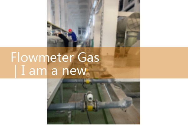 flowmeter gas|water flow meter