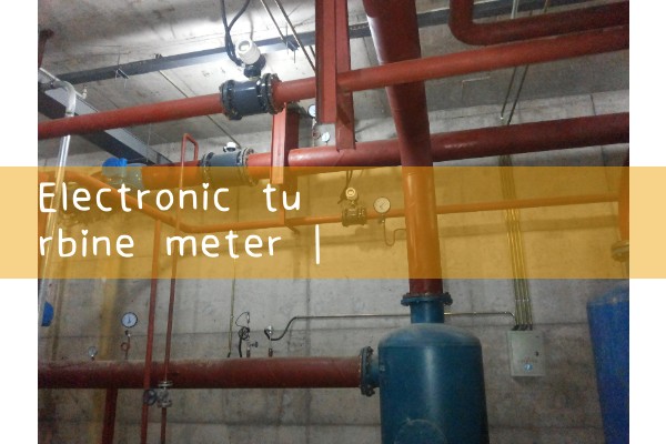 electronic turbine meter|water flow meter