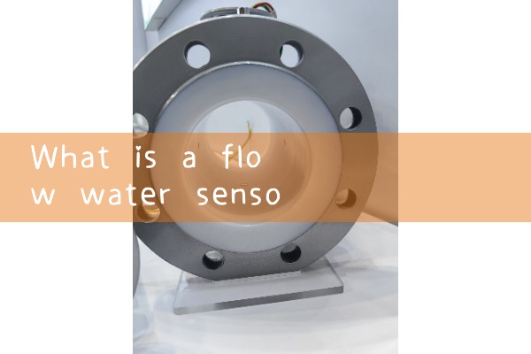 flow water sensor|heat flow meter